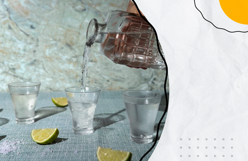 Tipos de vodka: o que muda entre elas e como escolher a melhor pra ti